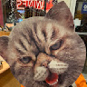 Meet your Posher, Ralph